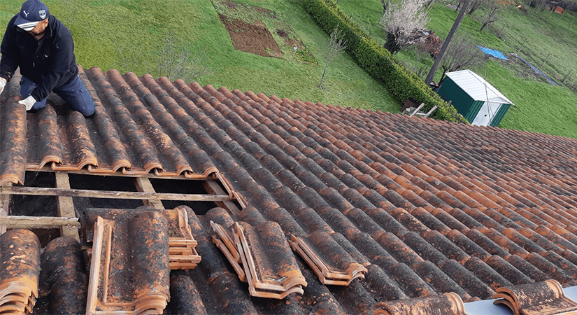 NETTOYAGE ET DEMOUSSAGE TOITURE - rdb-renovation24.fr